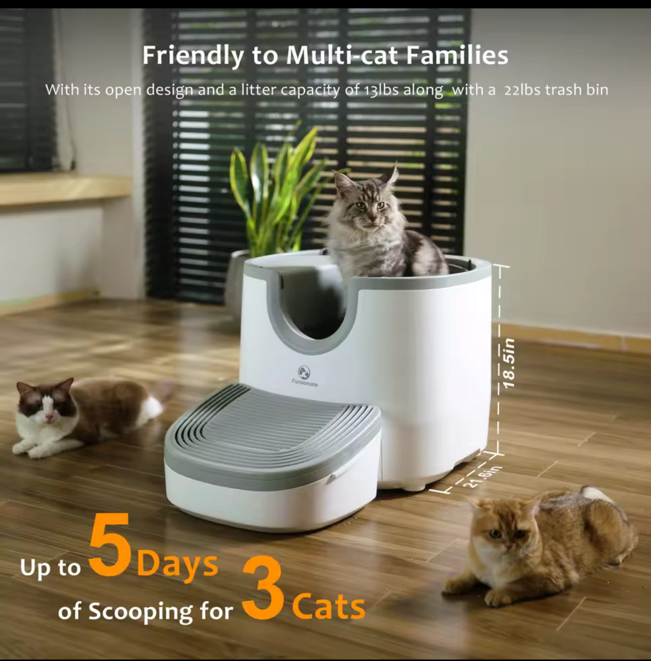 Automatic Cat Litter Box with Odor